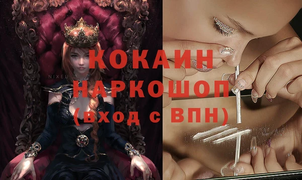 индика Абаза
