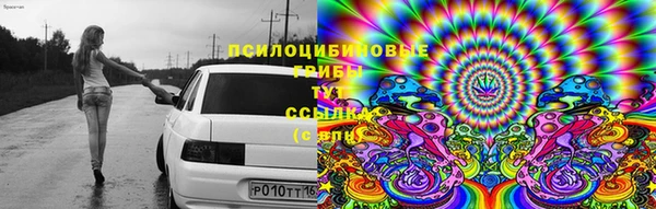 дживик Алексеевка